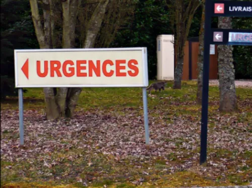 Un homme se présente aux Urgences avec un obus coincé… dans le...